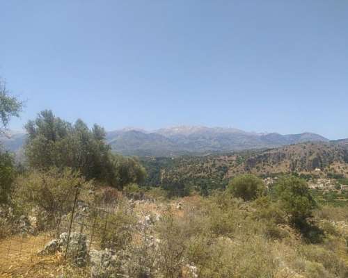 φωτογραφία ακινήτου