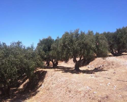 φωτογραφία ακινήτου