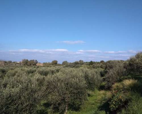 εικόνα ακινήτου