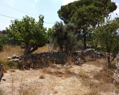 φωτογραφία ακινήτου