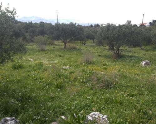 φωτογραφία ακινήτου