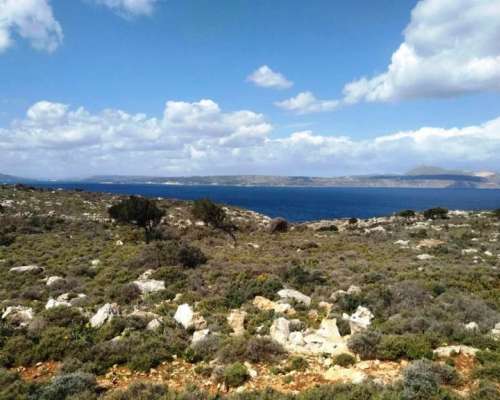 εικόνα ακινήτου