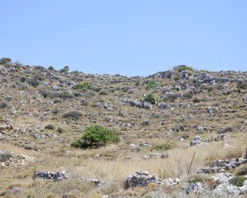 φωτογραφία ακινήτου