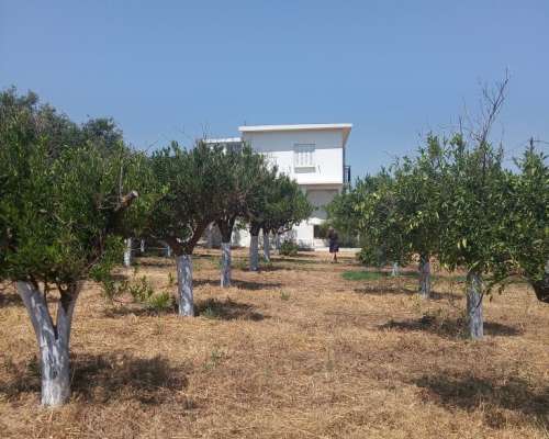 φωτογραφία ακινήτου