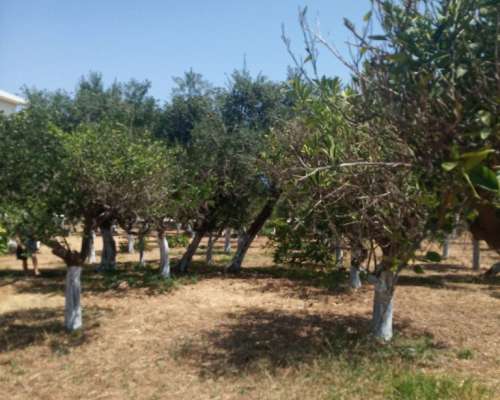 φωτογραφία ακινήτου