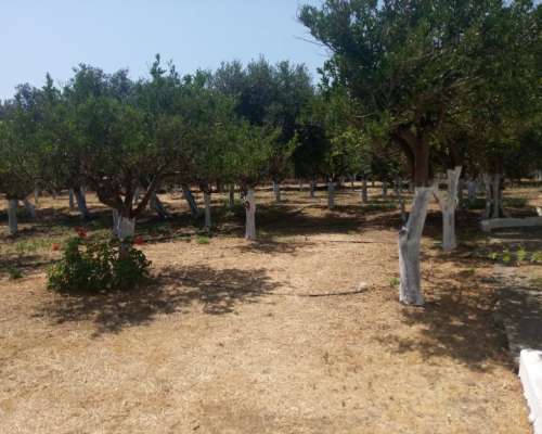 φωτογραφία ακινήτου