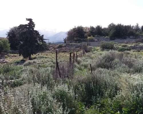 φωτογραφία ακινήτου