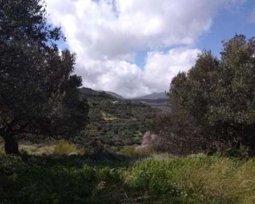 εικόνα ακινήτου