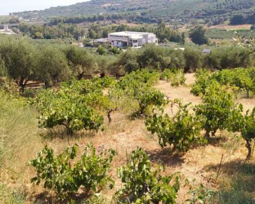 φωτογραφία ακινήτου