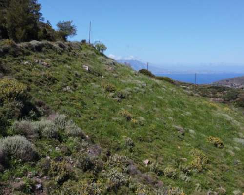 φωτογραφία ακινήτου
