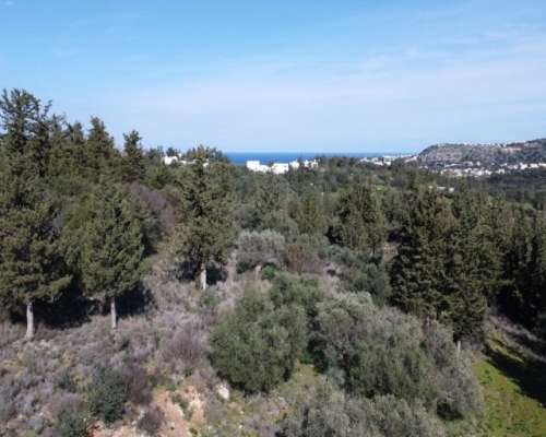 φωτογραφία ακινήτου