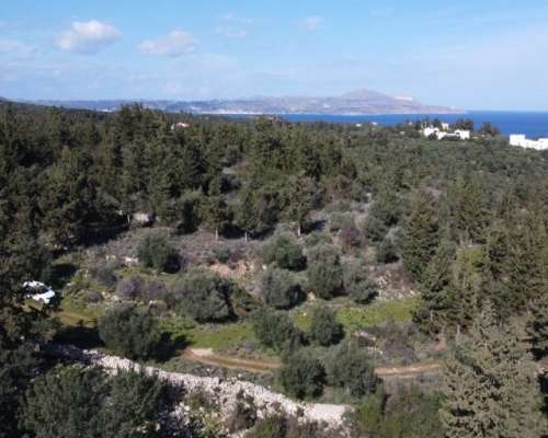 φωτογραφία ακινήτου