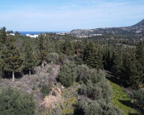 φωτογραφία ακινήτου