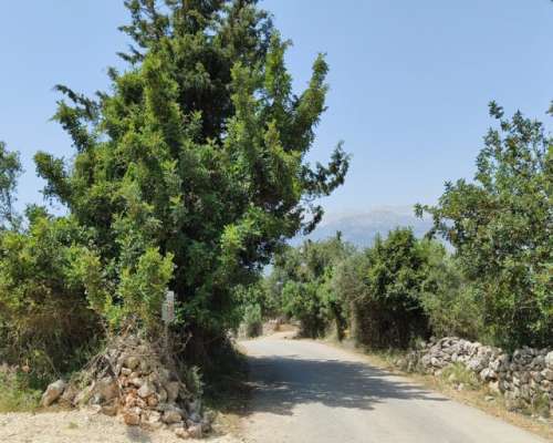 φωτογραφία ακινήτου