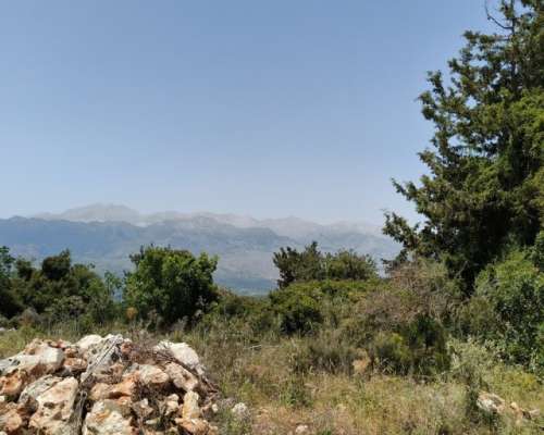 φωτογραφία ακινήτου