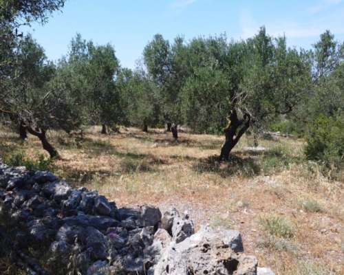 φωτογραφία ακινήτου