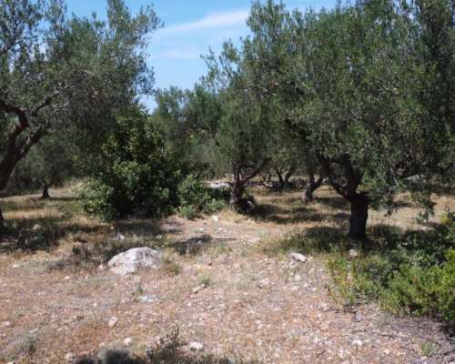 φωτογραφία ακινήτου