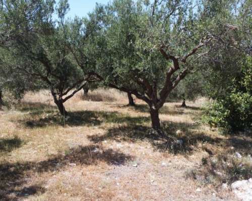 φωτογραφία ακινήτου