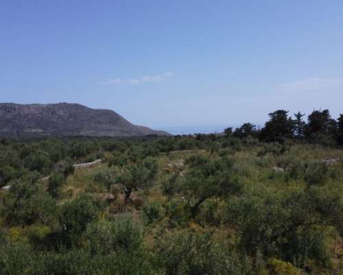 εικόνα ακινήτου