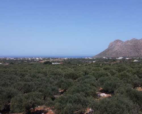 εικόνα ακινήτου
