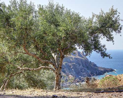 φωτογραφία ακινήτου