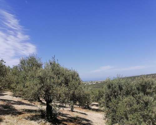 φωτογραφία ακινήτου