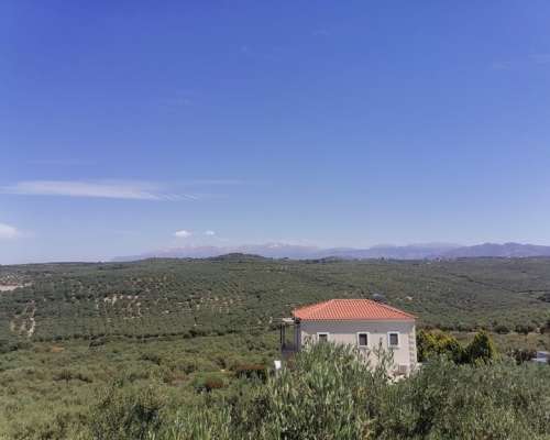 φωτογραφία ακινήτου