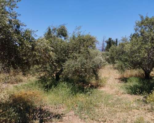 εικόνα ακινήτου
