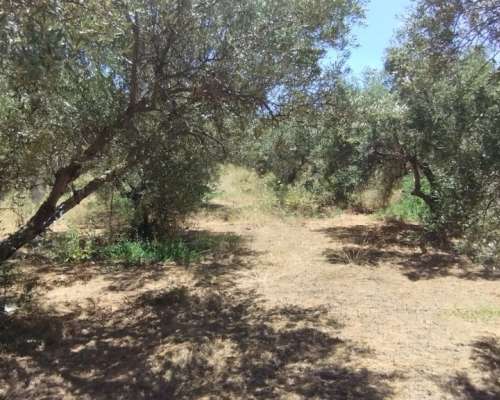 φωτογραφία ακινήτου