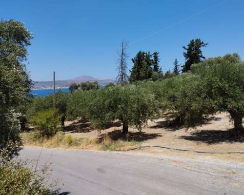 φωτογραφία ακινήτου