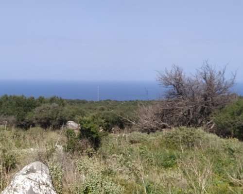 φωτογραφία ακινήτου