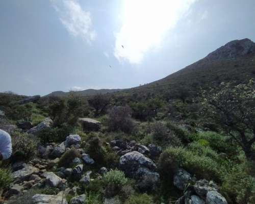 φωτογραφία ακινήτου