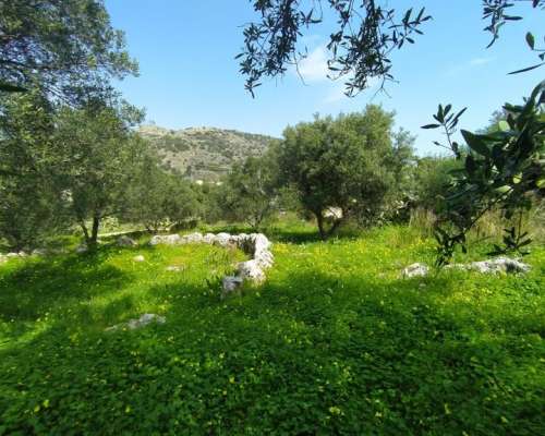 εικόνα ακινήτου