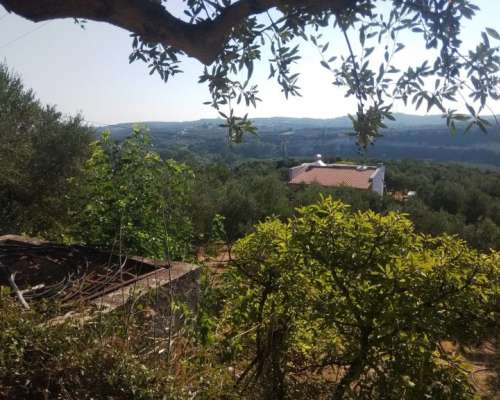 φωτογραφία ακινήτου