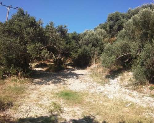 φωτογραφία ακινήτου