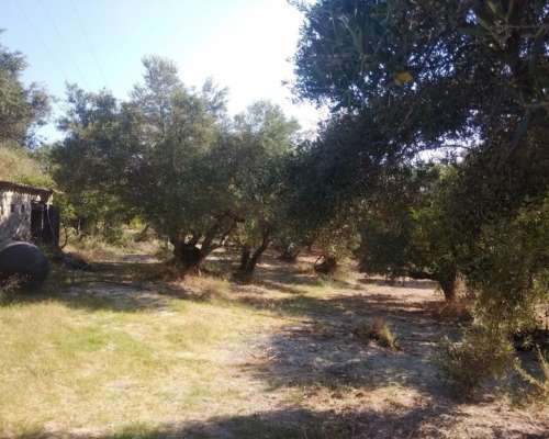 φωτογραφία ακινήτου
