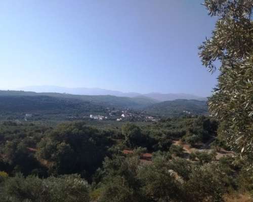 φωτογραφία ακινήτου