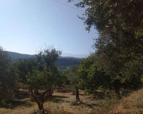 φωτογραφία ακινήτου