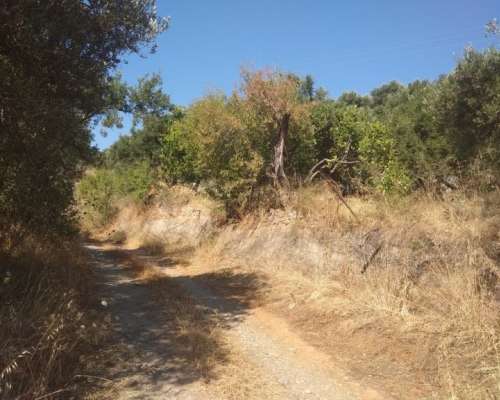 φωτογραφία ακινήτου