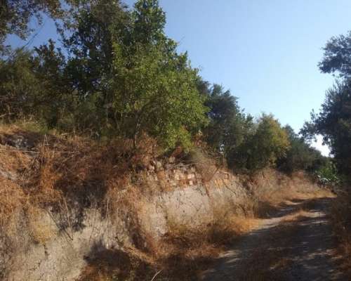 φωτογραφία ακινήτου