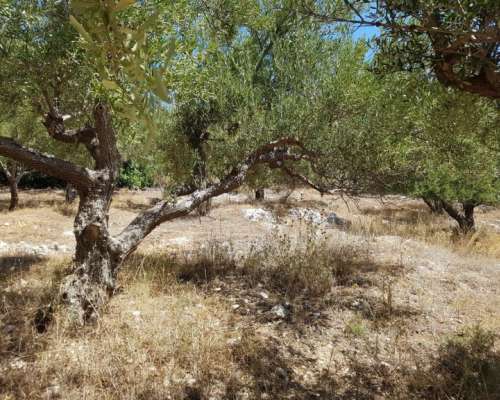 εικόνα ακινήτου