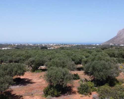 εικόνα ακινήτου