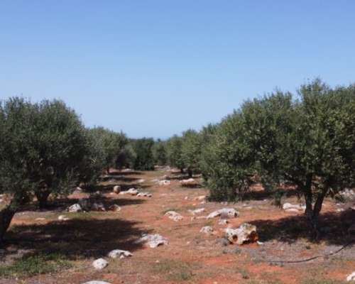 φωτογραφία ακινήτου