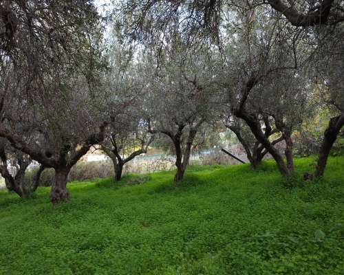 φωτογραφία ακινήτου