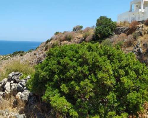 φωτογραφία ακινήτου