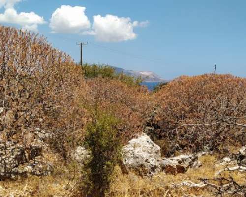 φωτογραφία ακινήτου