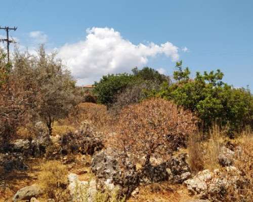 φωτογραφία ακινήτου