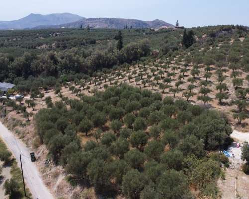 φωτογραφία ακινήτου
