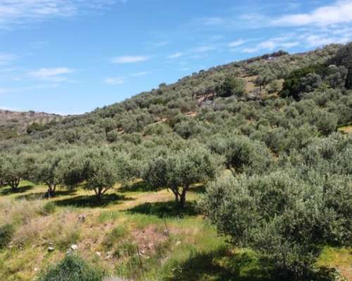 φωτογραφία ακινήτου
