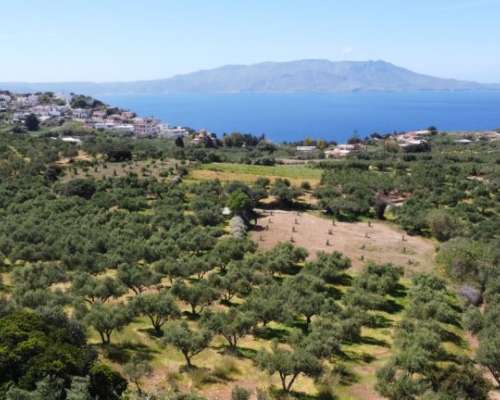 φωτογραφία ακινήτου